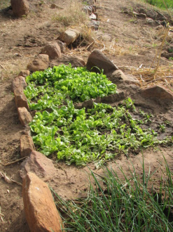 03 Jardins Potagers Au Creux De La Falaise